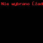 Dzień Ziemi_49